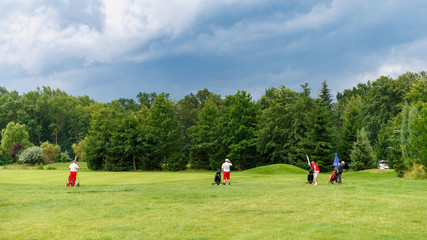 Fototapeta premium view of the golf course