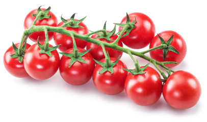Branch of cherry tomato on the white background.