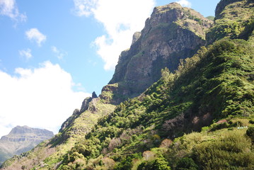 Madeira, Blumen, Atlantik, Funchal