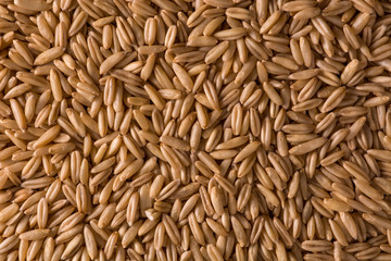 Fresh peeled oats - the idea for a background