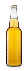 cold beer or cider in glass bottle