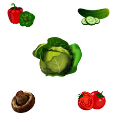Set of seasonal vegetables. Collection of vector isolated illustrations on white background.