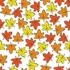 Pattern of maple leaves