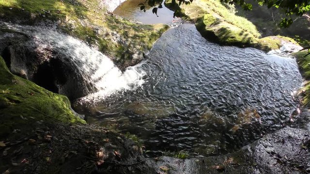 陽目渓谷の岩を伝う湧水と淵