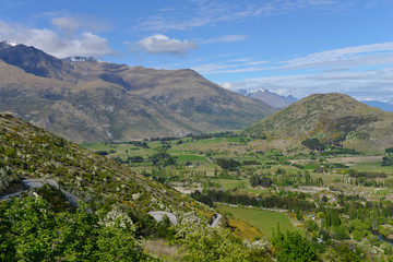Fototapeta na wymiar High view of a mountain filled with trees and winding road in New Zealand