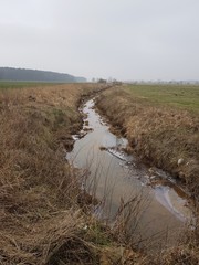 Strumyk © michalsen