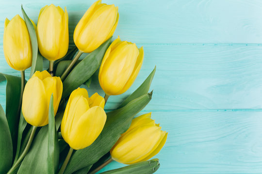Yellow tulips on a blue wooden background, copy space and flat lay. Mother's Day concept.
