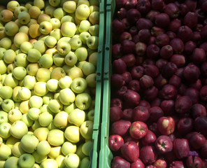 Äpfel in Kisten