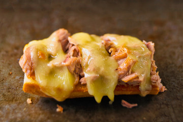 rustic american tuna melt sandwich