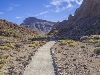footpath with lonely hiker on the path around famous pitoresque rock formation Roques de Garcia with view on colorful volcano mountains in el teide natural park in Tenerife, blue sky background