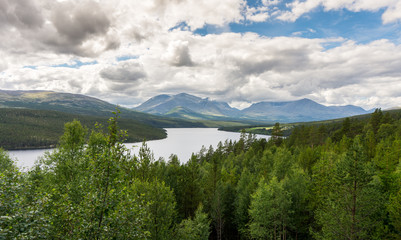 Forest and mountains, Rondane National Park, Norway