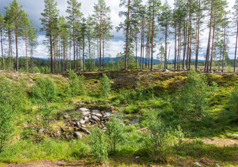 Meteorite crater near Torbyggee, Sweden