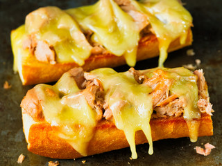 rustic american tuna melt sandwich