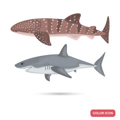 Fototapeta premium Whale and White sharks color flat icons set