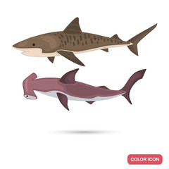 Hummerhead and tiger sharks color flat icons set