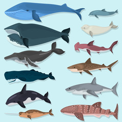 Set of color giant inhabitants of the sea depths icons