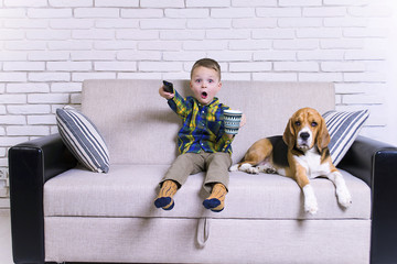 funny boy with remote control watching TV together with a dog on the couch