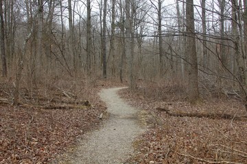 The long winding gravel trail in the woods.