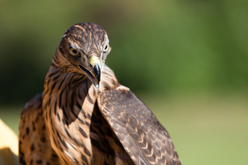 You're going to challenge me