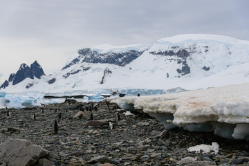 Fototapeta na wymiar Antarctic landscape with icebergs and reflection