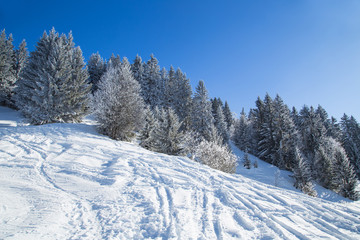 Grand Bornand