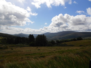 Fototapeta premium Au grand air