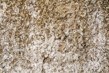old gray-yellow cement wall