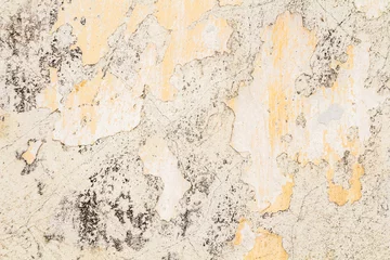 Papier Peint photo autocollant Vieux mur texturé sale old gray-yellow cement wall