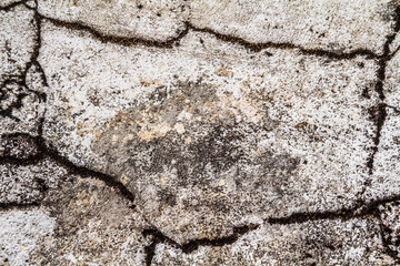Grunge concrete cement wall with crack in industrial building, great for your design and texture background