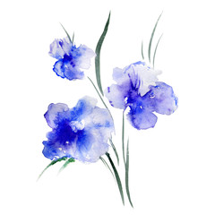 Watercolor blue poppy flower isolated on white background, hand drawn bouquet illustration, Floral design for element pattern, greeting card, wedding invitation, florist shop, beauty salon, cosmetic