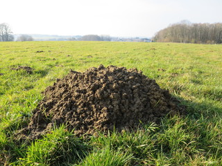 Maulwurfshügel