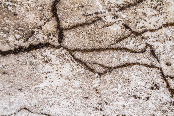 Grunge concrete cement wall with crack in industrial building, great for your design and texture background