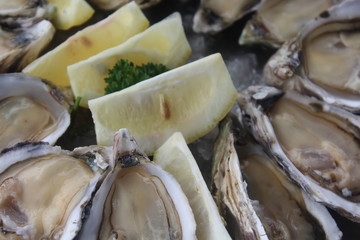 Miesmuscheln mit Zitronen