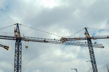 blue cranes on site