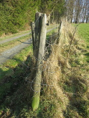 Stacheldraht
