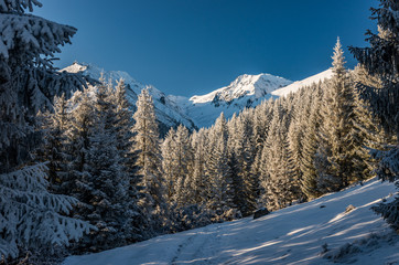 Winter mountain landscape, Tatra mountains, morning