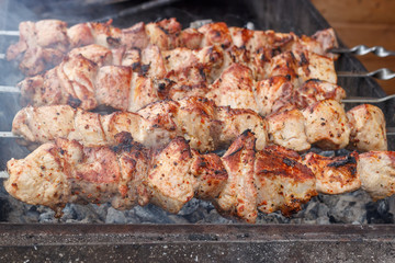 Barbecue grill-barbecue grill. appetizing shish kebab on metal grill. kebabs cook on charcoal in the open air. Marinated meat.