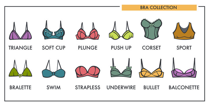 Woman bra types collection vector icons of fashion brassiere lin