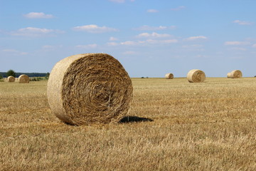 Feld mit Strohballen