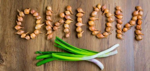 Fresh onions. Onions background. top view, place for the text