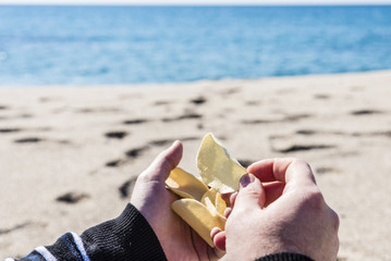 healthy food and picnic