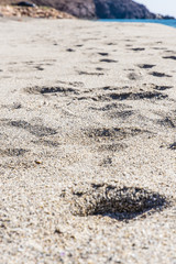 mediterranean beach landscape