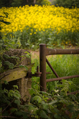 Rusty Gate.