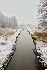 Strumyk wśród drzew w zimowy pochmurny dzień. © W Korczewski