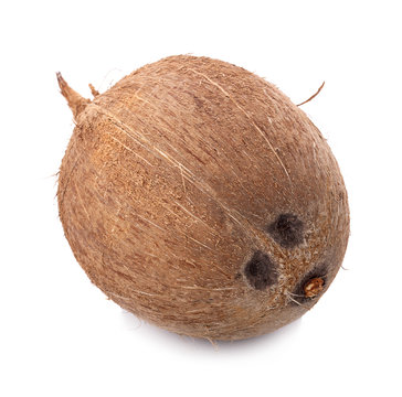 coconuts isolated on white background with clipping path