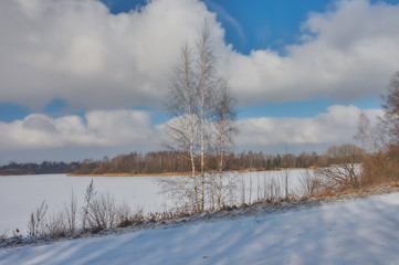 The Beauty of Winter