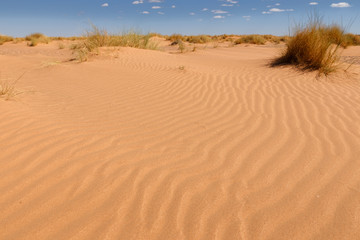 Fototapeta na wymiar waves on the sand in the Sahara desert, Morocco.