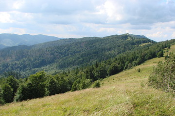 The landscape of the Carpathian forest on the slope of the mountain ridge under the rare sunshine of the cloudy sky.