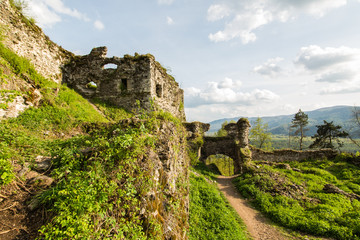 The ruins of the castle