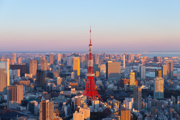 Fototapeta na wymiar 東京タワーのある夕景